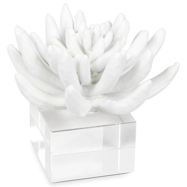 Sculpture succulente 2, Blanc