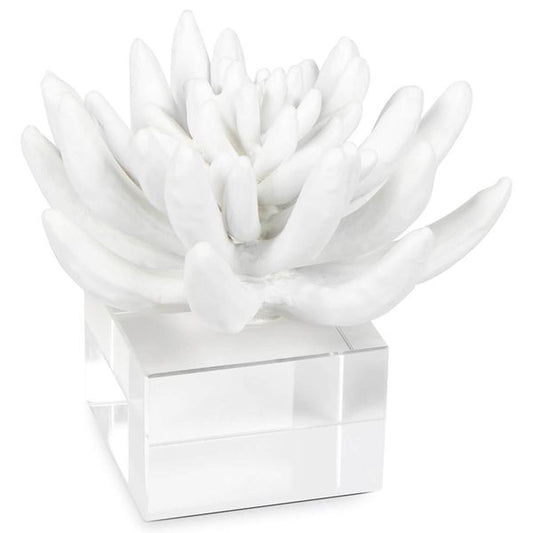 Sculpture succulente 2, Blanc